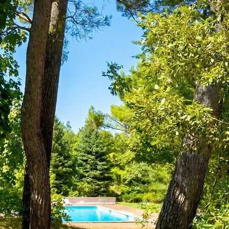 Comfortable In Fabriano, 35 M² With Shared Pool アパート ファブリアーノ